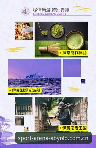 深度体验ab娱乐体育：一位老用户的实战心得与创新玩法探索